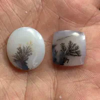 تعدادی نگین شجر