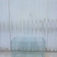 آکواریوم ماهی|ماهی|ری, تقی آباد|دیوار