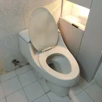 فرنگی چینی کرد