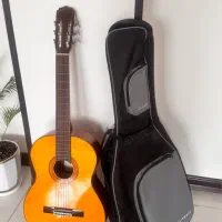 گیتار مدل AK 80