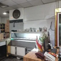خانم ظرفشور