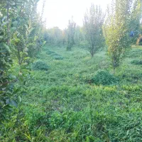 زمین-مسکونی-کشاورزی