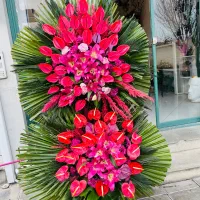 تاج افتتاحیه|گل و گیاه طبیعی|یزد, |دیوار