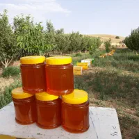 عسل صددرصدطبییعی ودرمانی|خوردنی و آشامیدنی|میانه, |دیوار