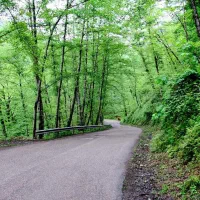 اجاره ویلا منطقه لفور|اجارهٔ کوتاه‌مدت ویلا و باغ|شیرگاه, |دیوار