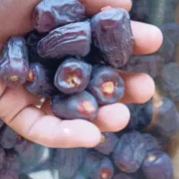 پس سورت خرما مضافتی