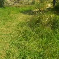 فروش زمین ویلایی