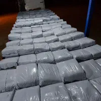 ذرت علوفه ای