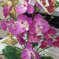 گل رز و ارکیده