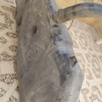 باک پژو 405وپارس سمند|قطعات یدکی و لوازم جانبی|مرودشت, کوشک|دیوار