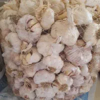 سیر|خوردنی و آشامیدنی|پارسآباد, |دیوار
