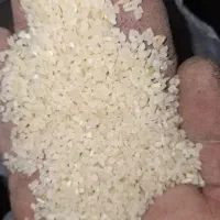 خرده برنج