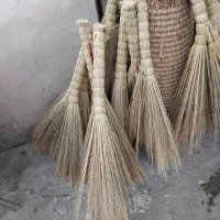 فروش محصولات خانگی|گل و گیاه طبیعی|لاهیجان, لاشیدان|دیوار