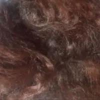 فروش مو وخریداری