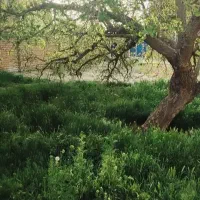 ویلایی دوبر براصلی گاوانه شهرک شهید عسگری