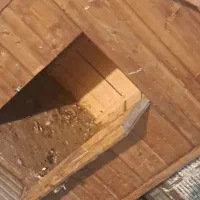 خونه سگ بزرگ کامل چوب|لوازم جانبی حیوانات|تهران, والفجر (افسریه)|دیوار