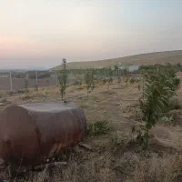 فروش زمین خانه باغ معاوضه بنز۹۱۱|فروش دفتر صنعتی، کشاورزی، تجاری|بوکان, |دیوار