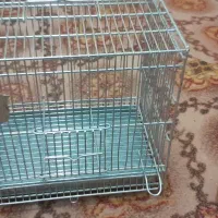 قفس