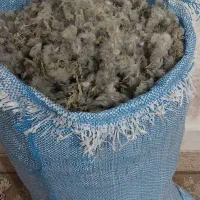 گلکنه کرین واویشن