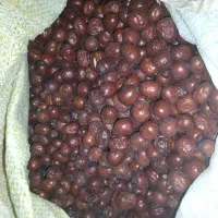 عناب تازه