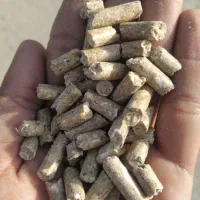 خوراک دام پرواری گوسفندی