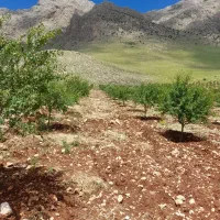 انبار کرایه محله بیمارستان