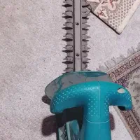 شمشاد زن بوش