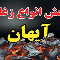 زغال آیهان