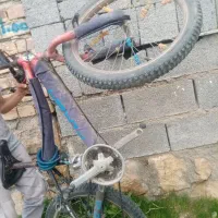 دوچرخه 20|دوچرخه، اسکیت، اسکوتر|سیلوانه, |دیوار