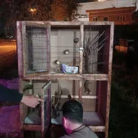 قفس پرنده خاص