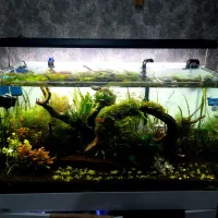 ال ای. دی حرفه ای ats|ماهی|اهواز, اسماعیلیه|دیوار