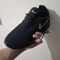 کتانیی چهل و دو