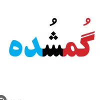 مدارکم گم شده