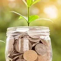 نیازمند سرمایه گذار