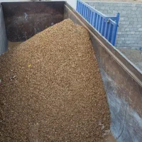 پوست بادام|خدمات باغبانی و درختکاری|نجف‌آباد, یزدانشهر|دیوار