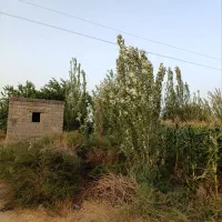 در نزدیک ترین نقطه به شهر باغ|فروش دفتر صنعتی، کشاورزی، تجاری|میاندوآب, |دیوار