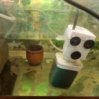 چهار ماهی یکی بزرک وسه تا متوسط