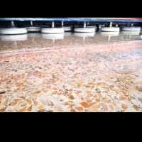 قالیشویی چهار فصل شیروانی