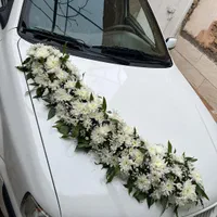 ماشین عروس،جایگاه عروس(تالار) دسته گل|خدمات پذیرایی، مراسم|سبزوار, ولیعصر (نجار آباد)|دیوار