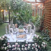 سالن عقدوعروسی هما