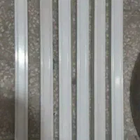 قاب مهتابی سالم تک قلو و بخاری
