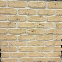 آجر دکوراتیو آجر هلندی، آجر تی وی وال،آجر تزیینی|مصالح و تجهیزات ساختمان|تهران, شهید رجایی|دیوار