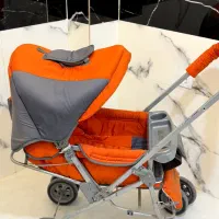 سیسمونی نوزاد