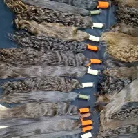 خرید فروش مو بدون واسطه با قیمت باورنکردنی|آرایشی، بهداشتی، درمانی|قم, انسجام|دیوار