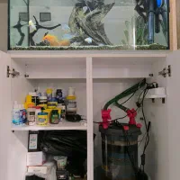 آکواریوم|ماهی|قم, شهدا|دیوار