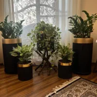 پارکت خارجی دست دوم