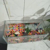 ۳۰در ۱۵.با وسایل وماهی