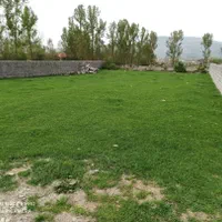 زمین 490 متری سنددار بر 20 متر پی‌قلعه|فروش زمین و ملک کلنگی|کلاردشت, |دیوار