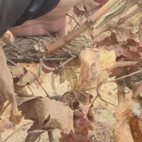 نهال انگورو پایه بتنی