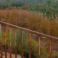 زمین شهرک تجارت کرونی